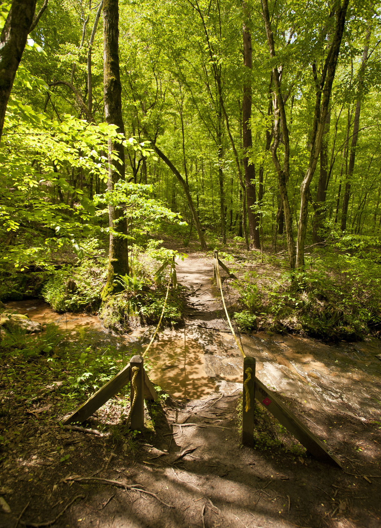 Cascades Preserve